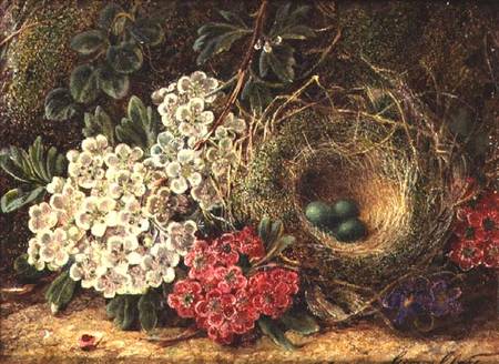 Still life with bird's nest à George Clare