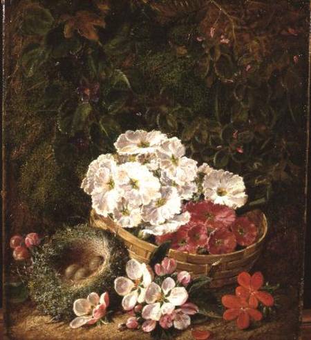 Still Life with Bird's Nest and Primulas à George Clare