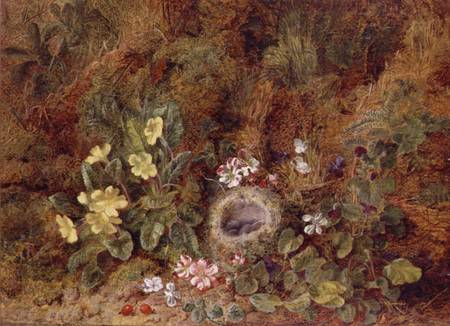 Still Life with Bird's Nest and Wild Flowers à George Clare