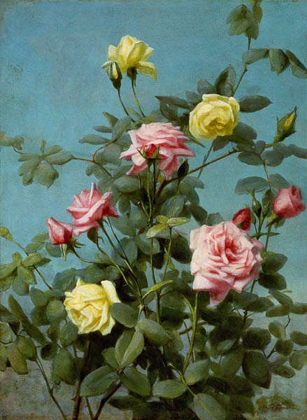 Roses, rosa et jaune. à George Cochran Lambdin