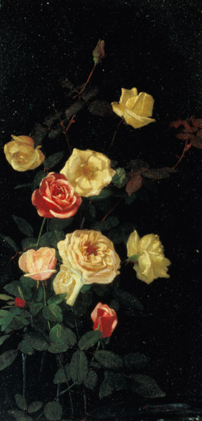 Roses dans la floraison pleine (I ) à George Cochran Lambdin