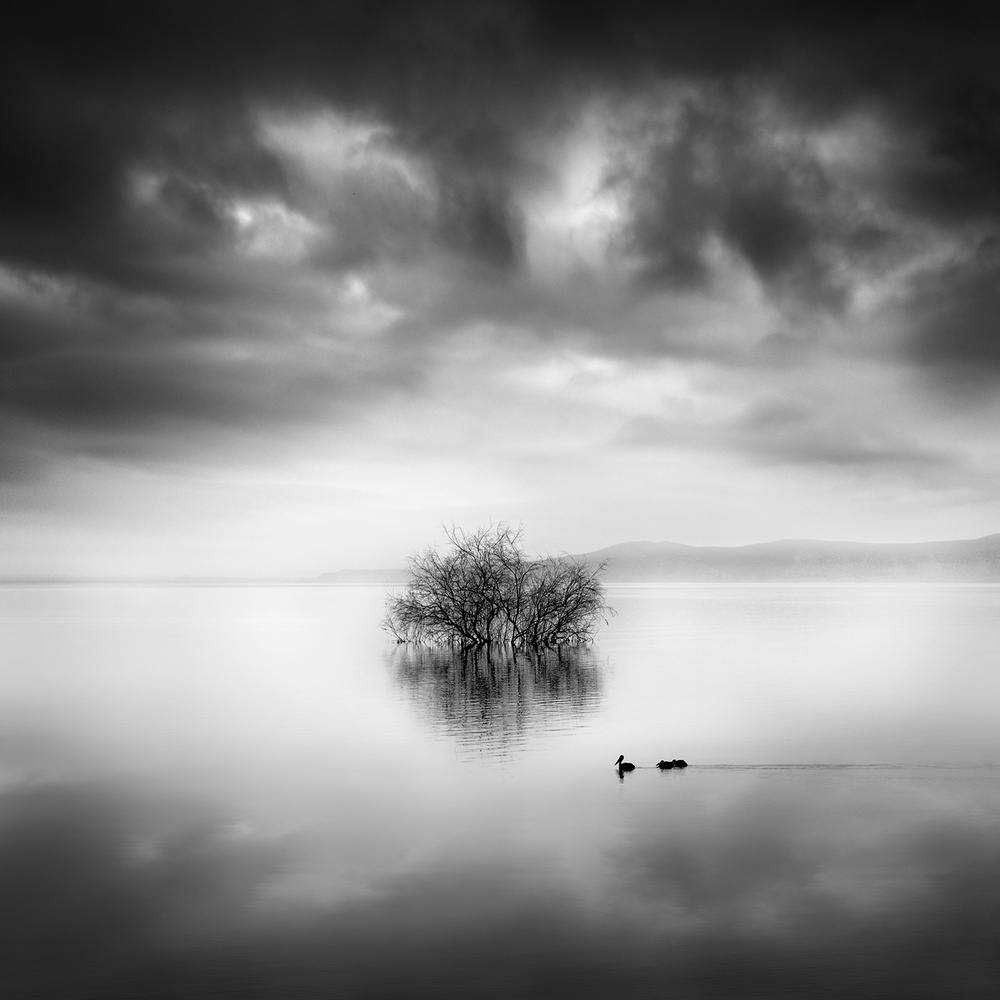 A Ray of Light à George Digalakis