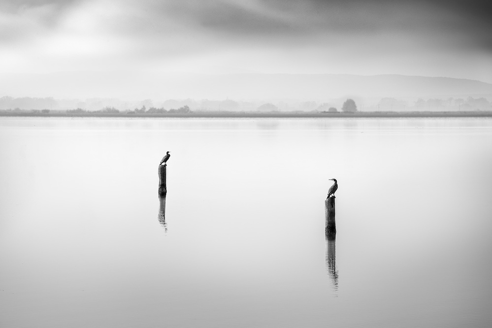 Conversation à George Digalakis