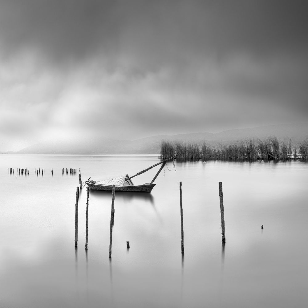 Shades of Gray à George Digalakis