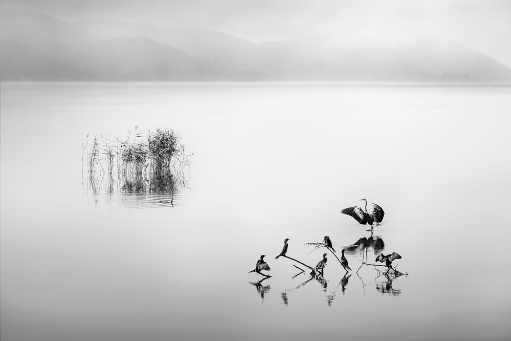 Lake Karla IX à George Digalakis