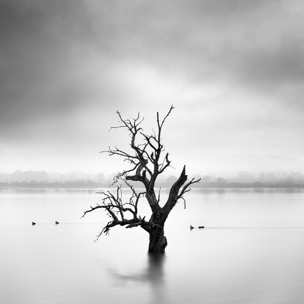 Land of Silence à George Digalakis