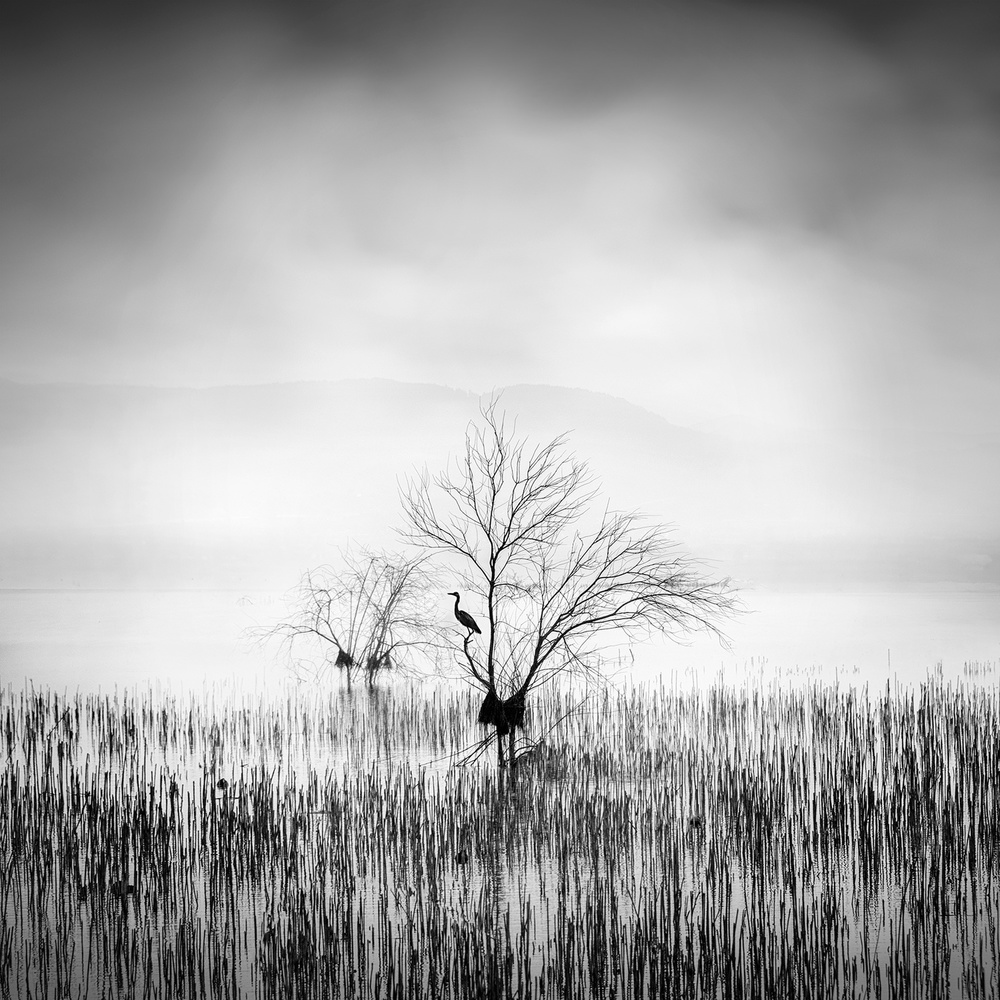Morning Song à George Digalakis