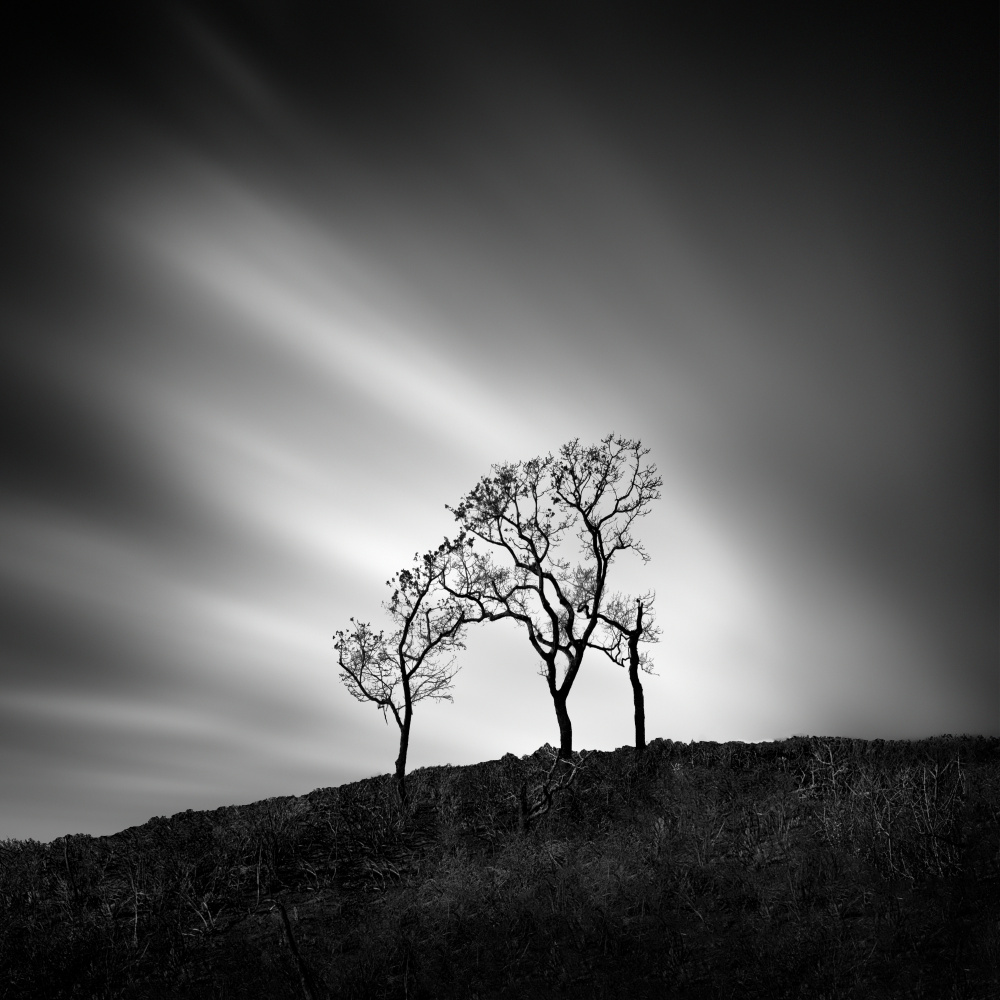 After the Wildfires à George Digalakis