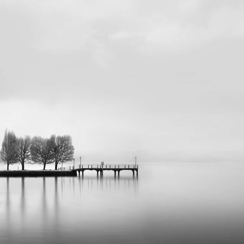 Pier with Trees (2) à George Digalakis