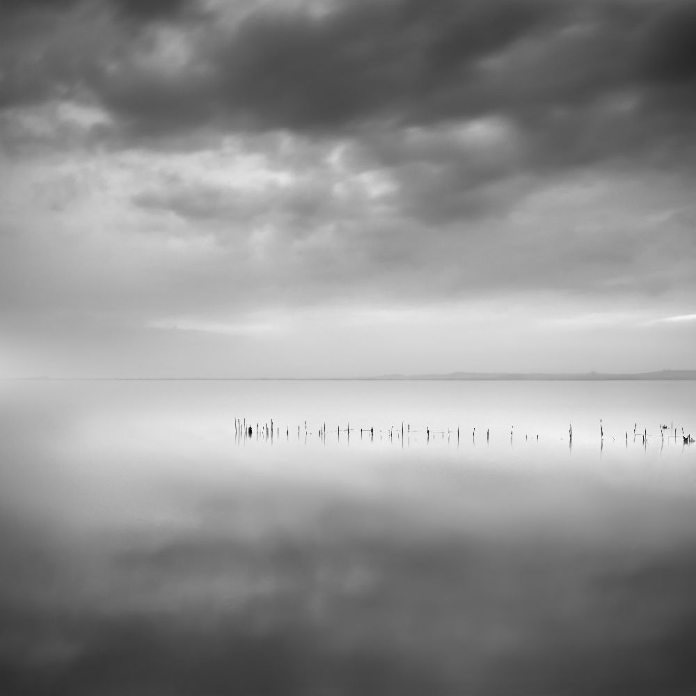 Sixty shades of gray à George Digalakis