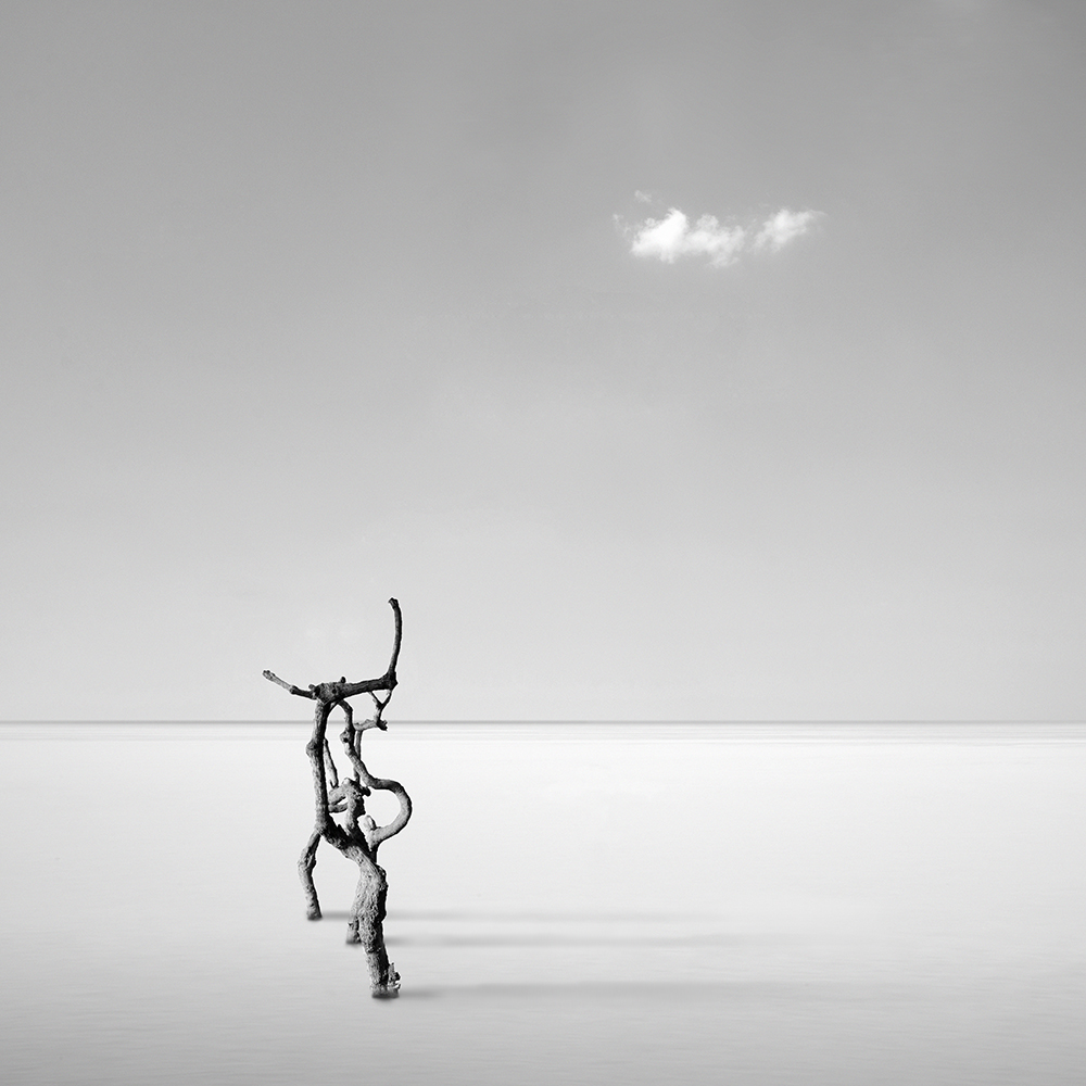 Silver Serenity à George Digalakis