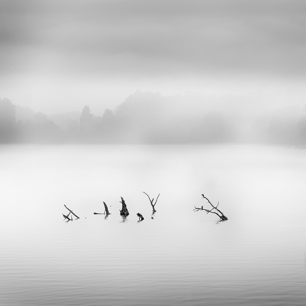 Waterland à George Digalakis