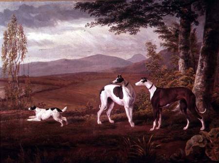 Greyhounds in a Landscape à George Garrard