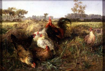 Fowls in the Stubble à George Hickin