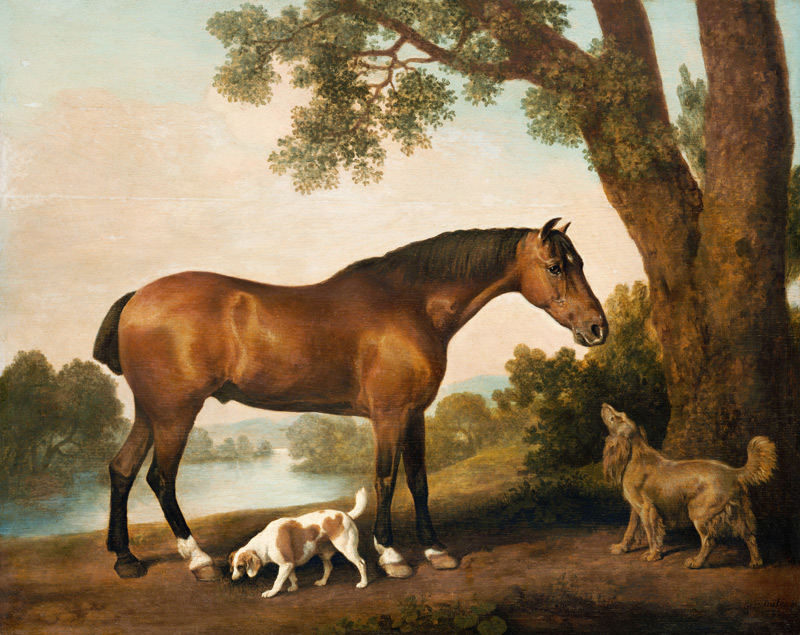 Ein Brauner, ein Springer Spaniel und ein Sussex Spaniel à George Stubbs