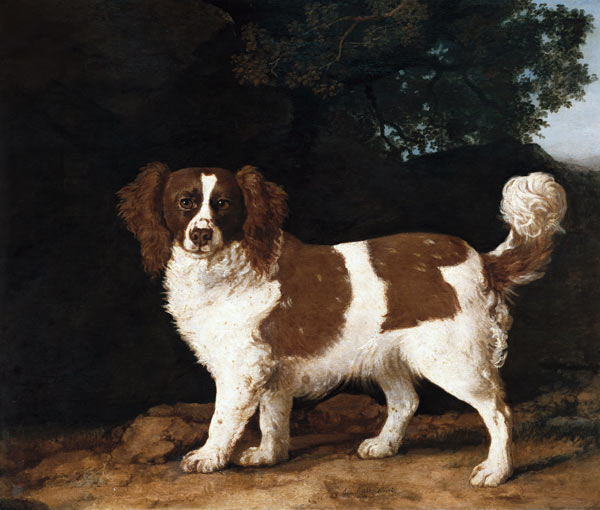 Fanny, the Favourite Spaniel of Mrs. Musters, Standing in a Wooded Landscape à George Stubbs