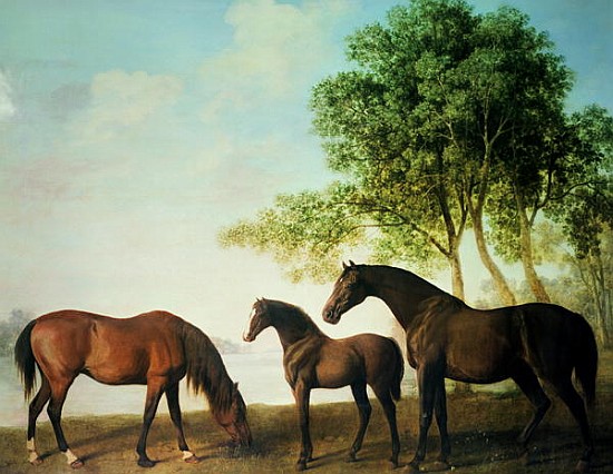 Shafto Mares and a Foal à George Stubbs