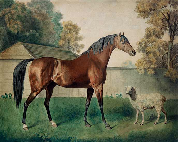 'Dungannon' à George Townley Stubbs