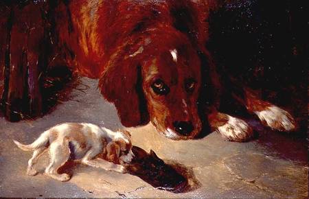 An Inquisitive Puppy (board) à George W. Horlor
