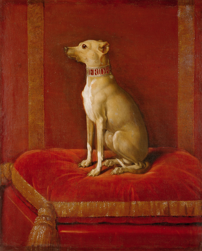 One of Frederick II''s Italian greyhounds à École allemande