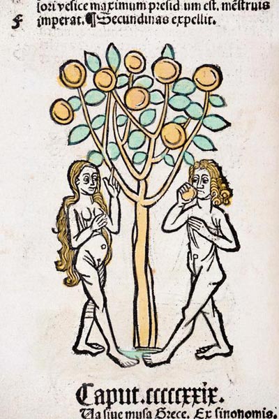 Adam and Eve tree Hortus Sanitatis à École allemande