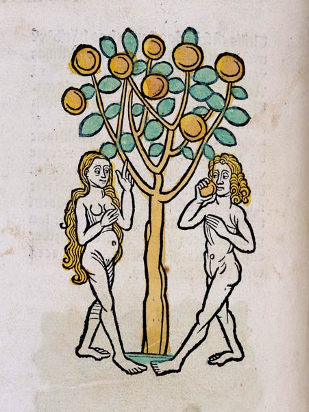 The Tree of Knowledge, from Ortus Sanitatis' à École allemande