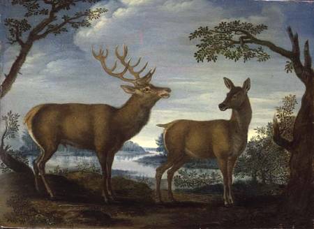 Stag and hind in a wooded landscape (panel) à École allemande