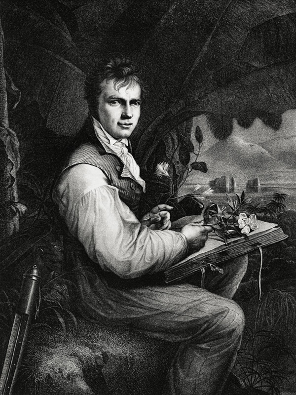 Alexander von Humboldt à École allemande, (19ème siècle)