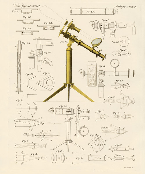 Magnifying glass and microscopical amusements à École allemande, (19ème siècle)