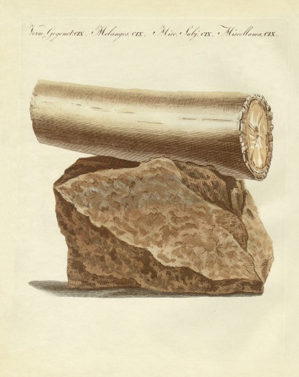A part of a excavated elephant tusk weapon à École allemande, (19ème siècle)