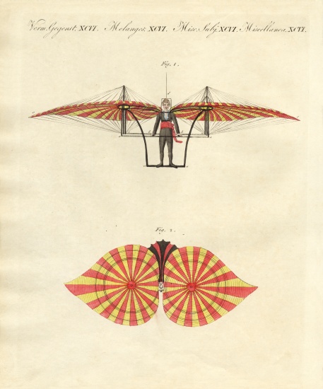 Degen's flying machine à École allemande, (19ème siècle)