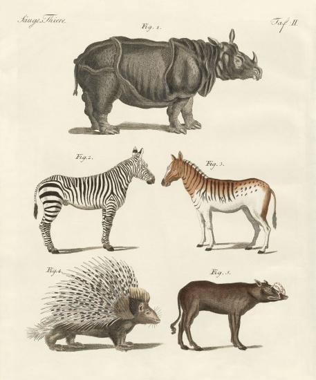 Four-footed animals à École allemande, (19ème siècle)