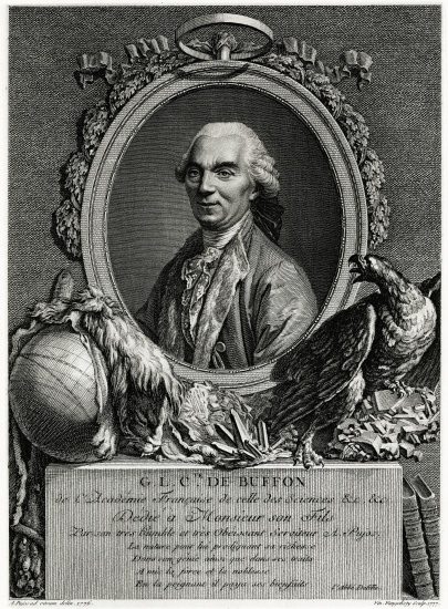 George Louis Leclerc Comte de Buffon à École allemande, (19ème siècle)