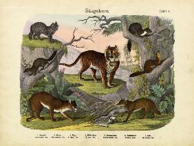 Mammals, c.1860