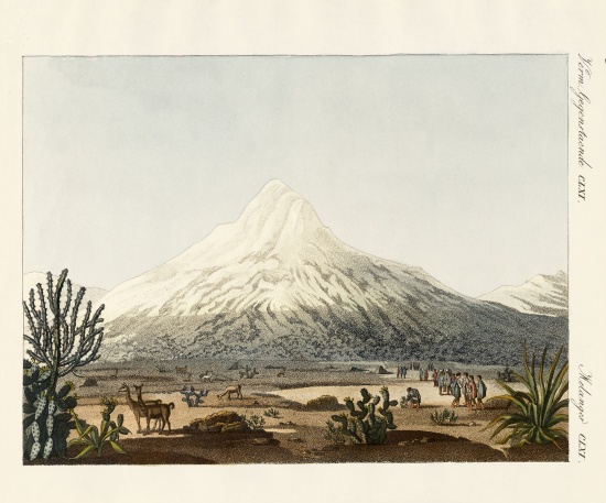The Chimborazo in South America à École allemande, (19ème siècle)
