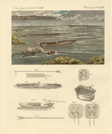 The hunting of waterbirds on the coasts of England à École allemande, (19ème siècle)