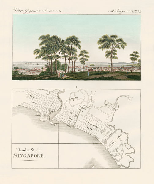 View and map of the East Indian establishment Singapore à École allemande, (19ème siècle)