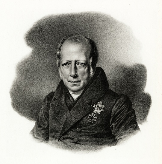 Wilhelm von Humboldt à École allemande, (19ème siècle)