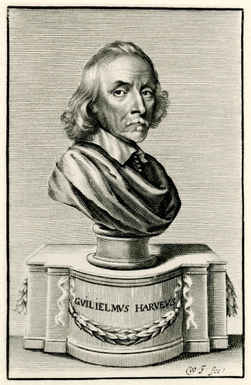 William Harvey à École allemande, (19ème siècle)