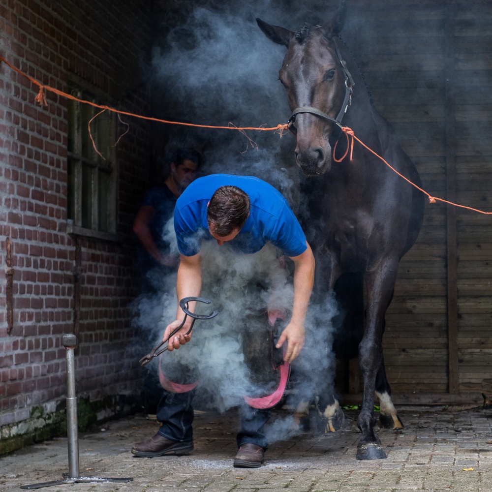 Fitting the horseshoe à Gert van den Bosch