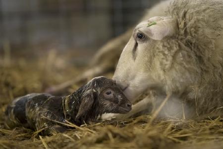 First kiss