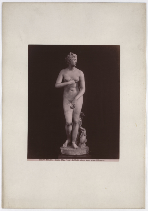 Florence: Venus deMedici, famous Greek work by Cleomene, Uffizi Gallery, No. 3150 bis à Giacomo Brogi