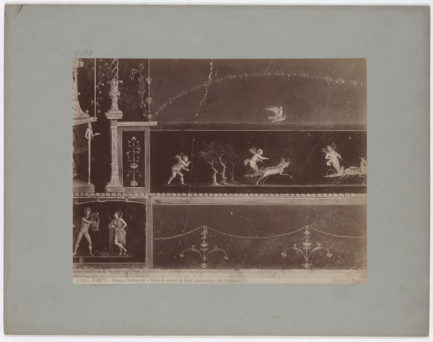 Pompeii: Domus Vettiorum, Chariot Lovers Race, triclinium decoration, No. 11241 à Giacomo Brogi