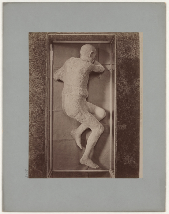 Pompeii: (Museum) Corpse of a man, No. 5579 à Giacomo Brogi