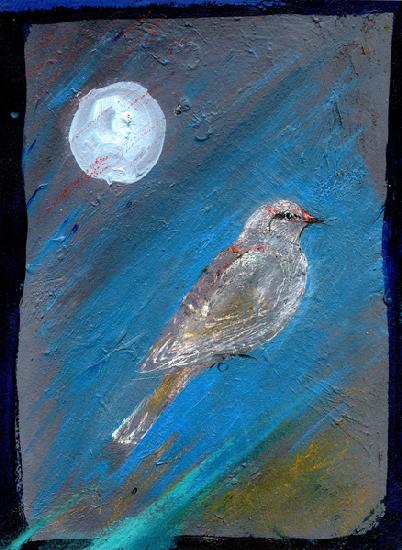 Moon Bird