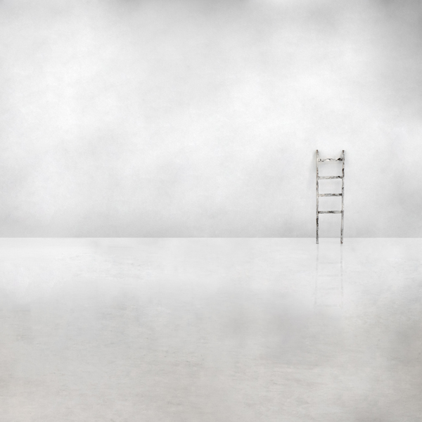 The social ladder à Gilbert Claes