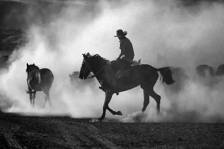 among the dust