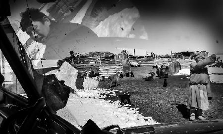 family into Gobi desert