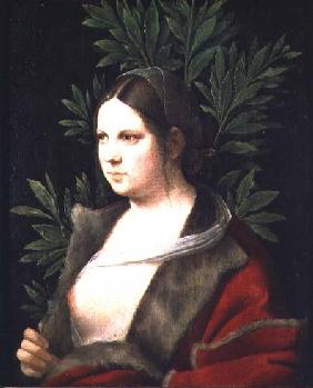 Portrait of a Young Woman (Laura)