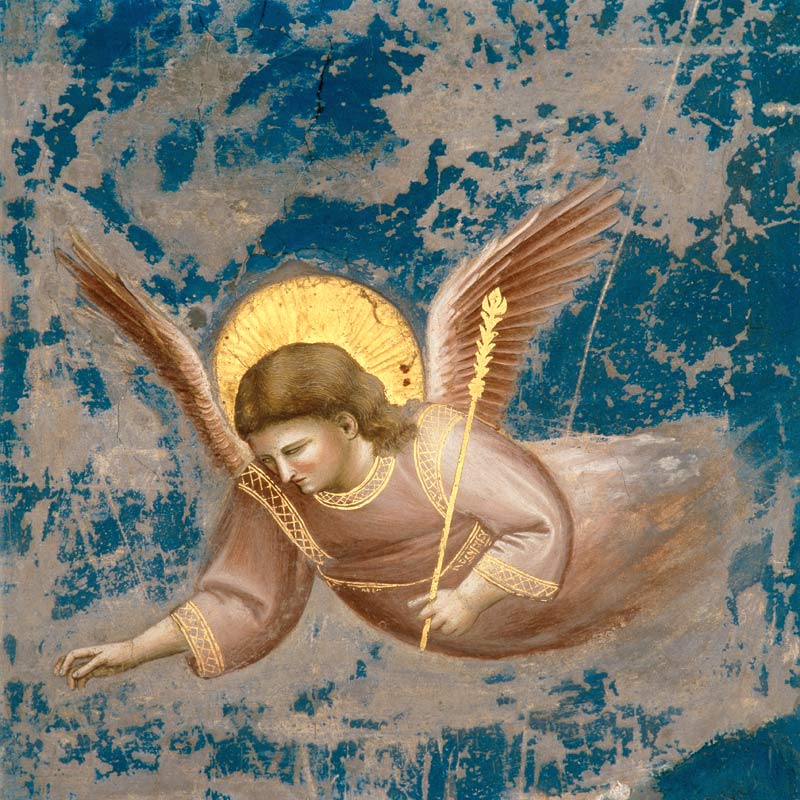 La présentation de Jésus au temple (détail) à Giotto di Bondone